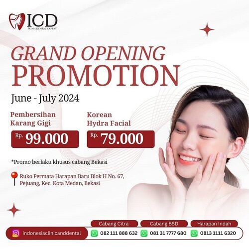 promo - ICD - 1